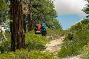 Two backpackers carrying large packs along a forest trail