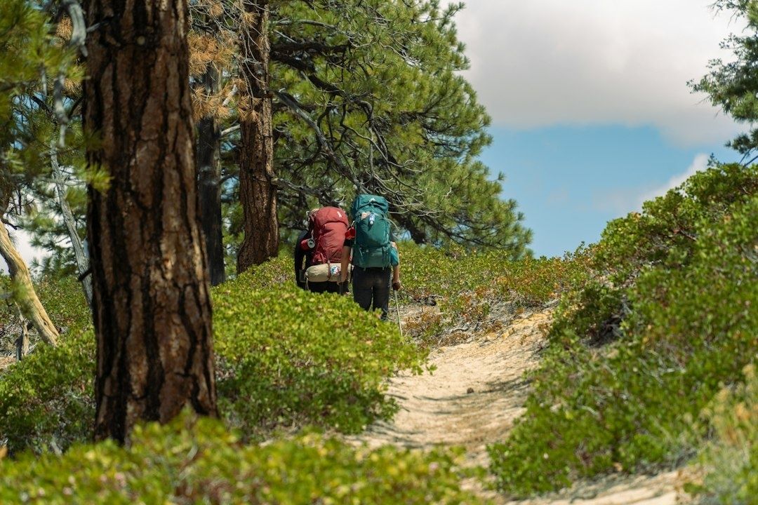 Two backpackers carrying large packs along a forest trail